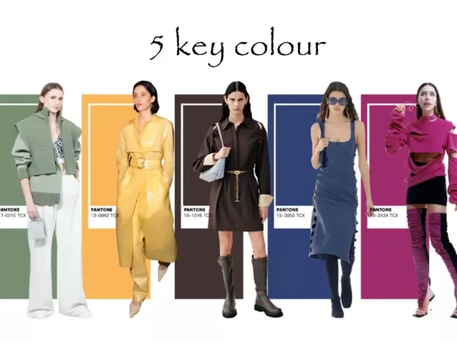 5 clothing colour