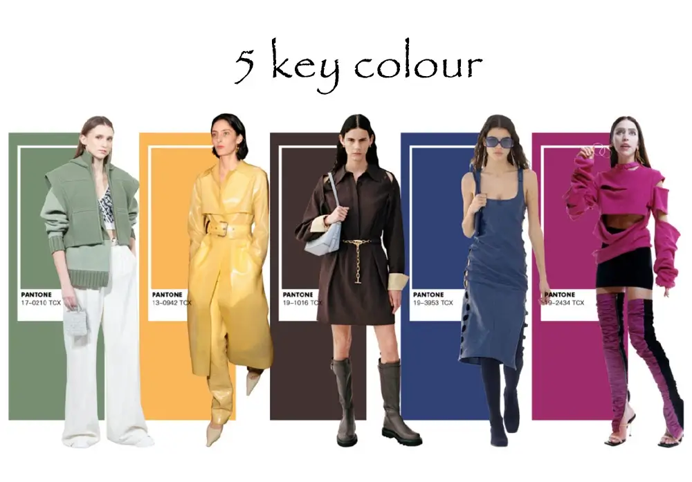 5 clothing colour